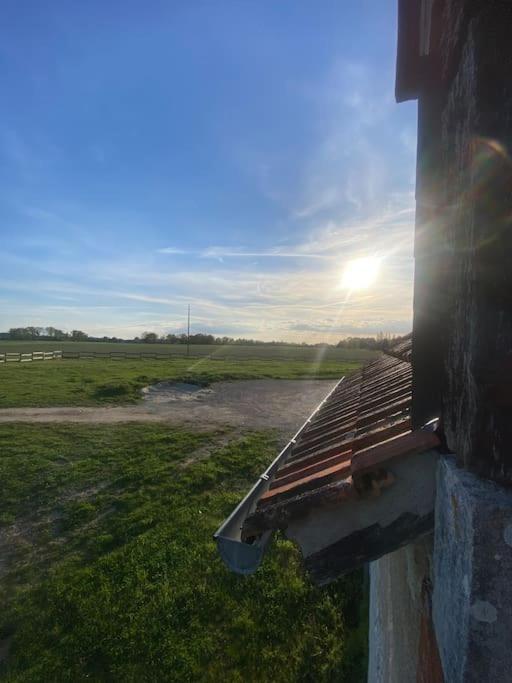 Villenouan Domaine Et Gites Lailly-en-Val المظهر الخارجي الصورة