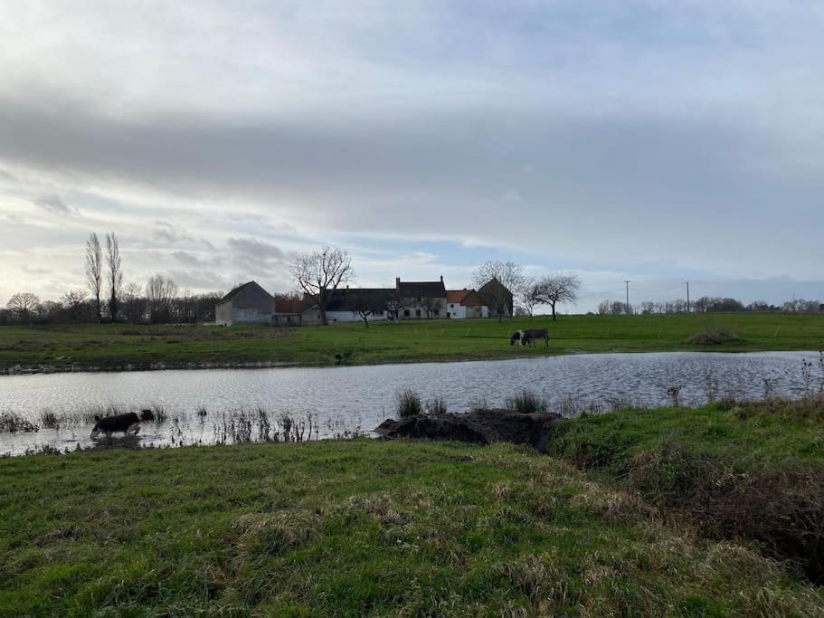 Villenouan Domaine Et Gites Lailly-en-Val المظهر الخارجي الصورة