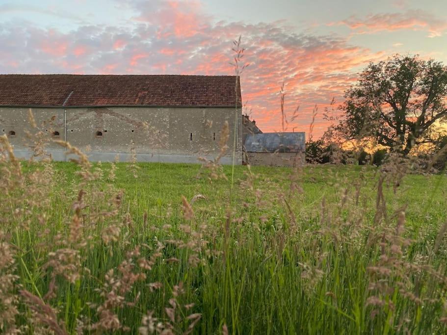 Villenouan Domaine Et Gites Lailly-en-Val المظهر الخارجي الصورة