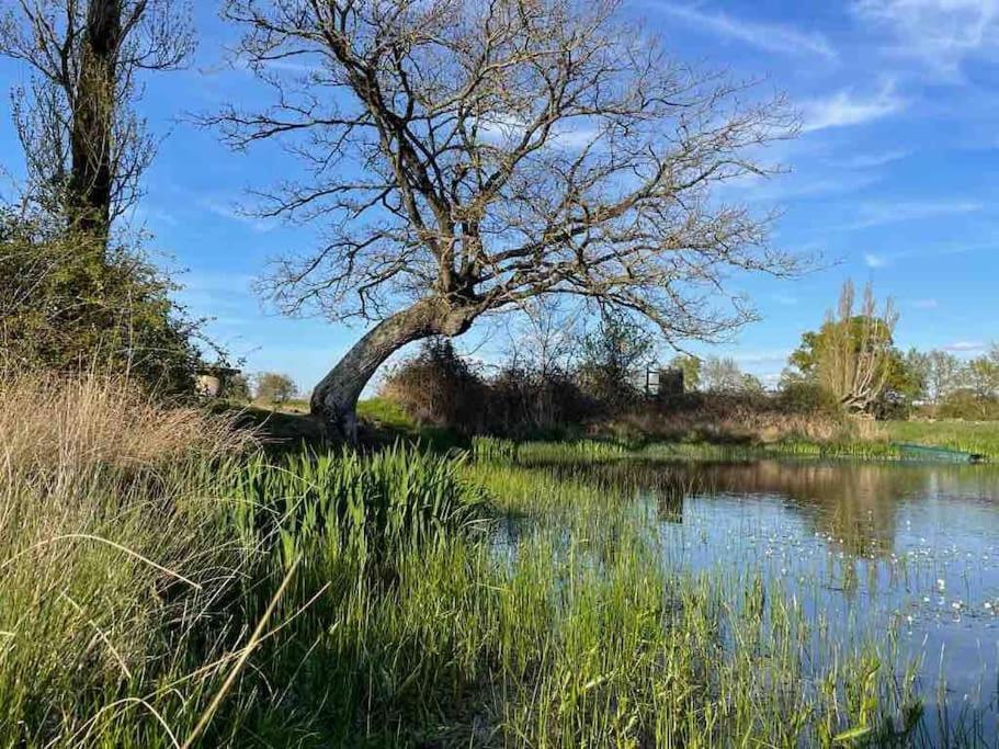 Villenouan Domaine Et Gites Lailly-en-Val المظهر الخارجي الصورة